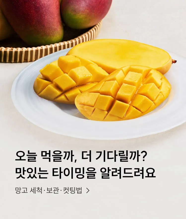 망고세척보관