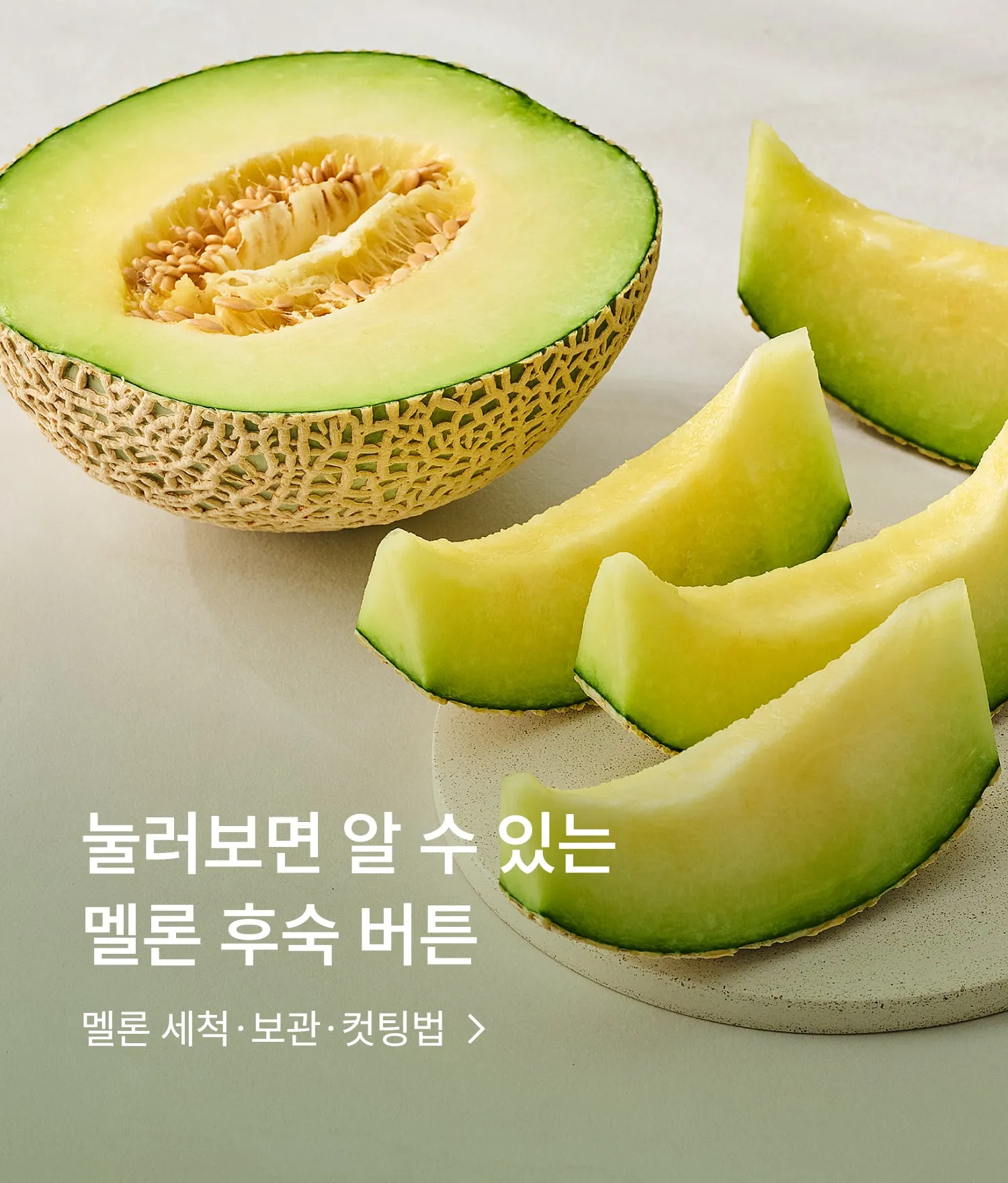 멜론