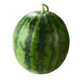 수박