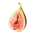 홍무화과