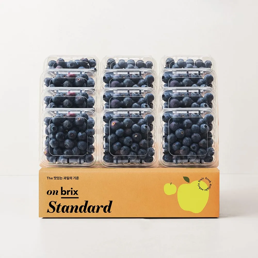 [새벽에On] 항공직송 캐나다산 생 블루베리 500g / 1kg / 1.5kg (14-16mm)