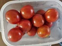 이미지없음