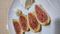 이미지없음