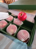 이미지없음