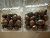 이미지없음