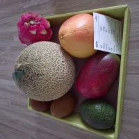 이미지없음
