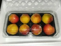 이미지없음