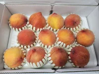 이미지없음