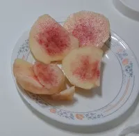 이미지없음