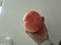 이미지없음