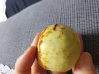 이미지없음
