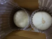 이미지없음