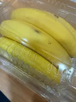 이미지없음