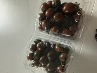 이미지없음