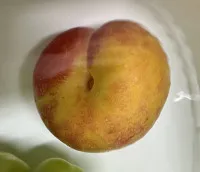 이미지없음