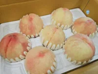 이미지없음