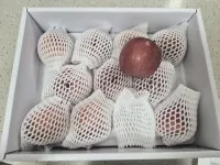 이미지없음