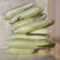 이미지없음