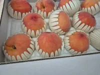 이미지없음