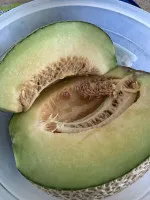 이미지없음