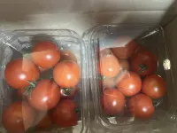 이미지없음