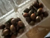 이미지없음