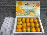 이미지없음