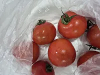이미지없음