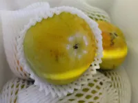 이미지없음