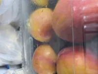 이미지없음