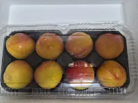 이미지없음
