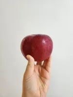 이미지없음