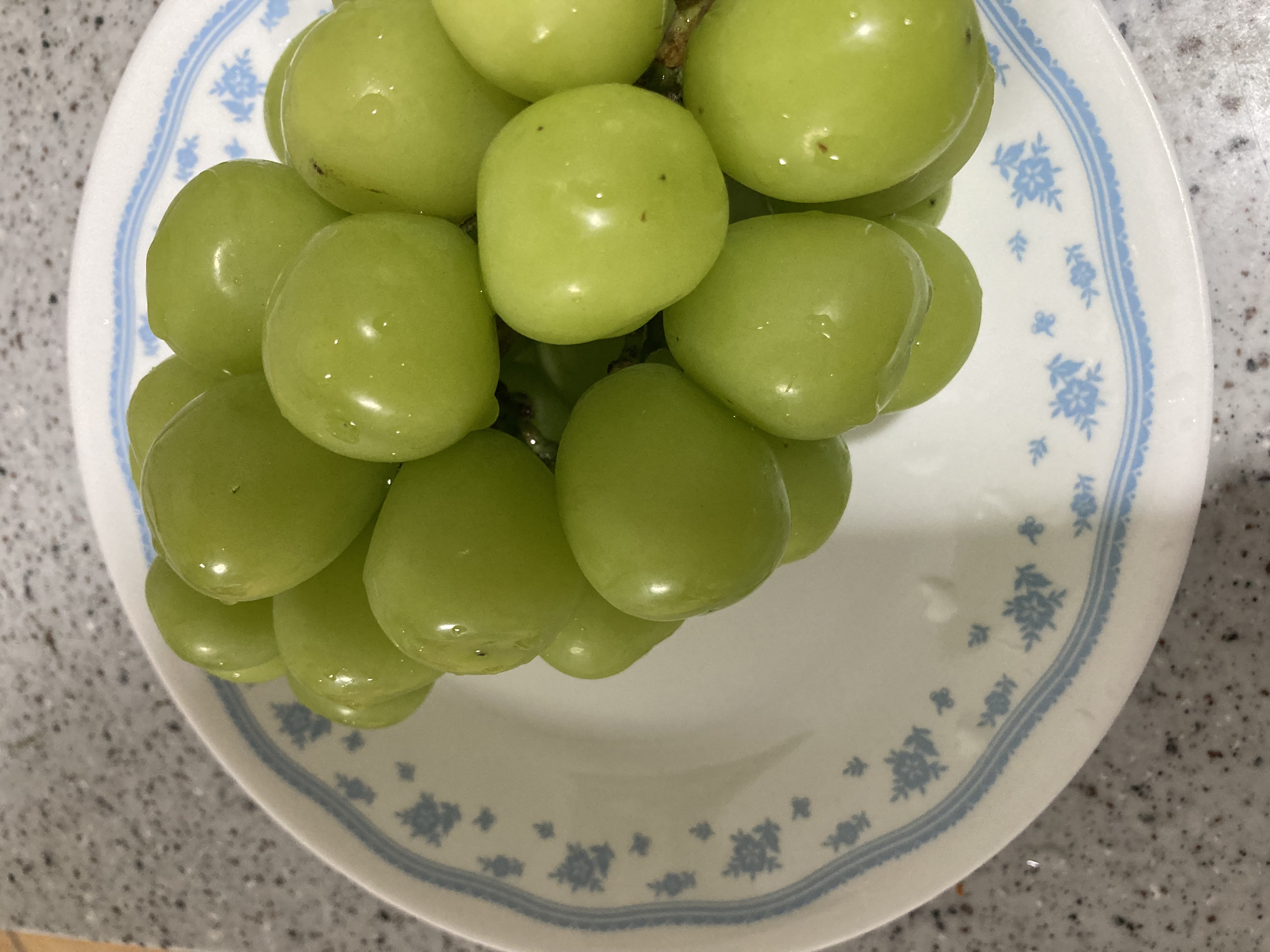 이미지없음