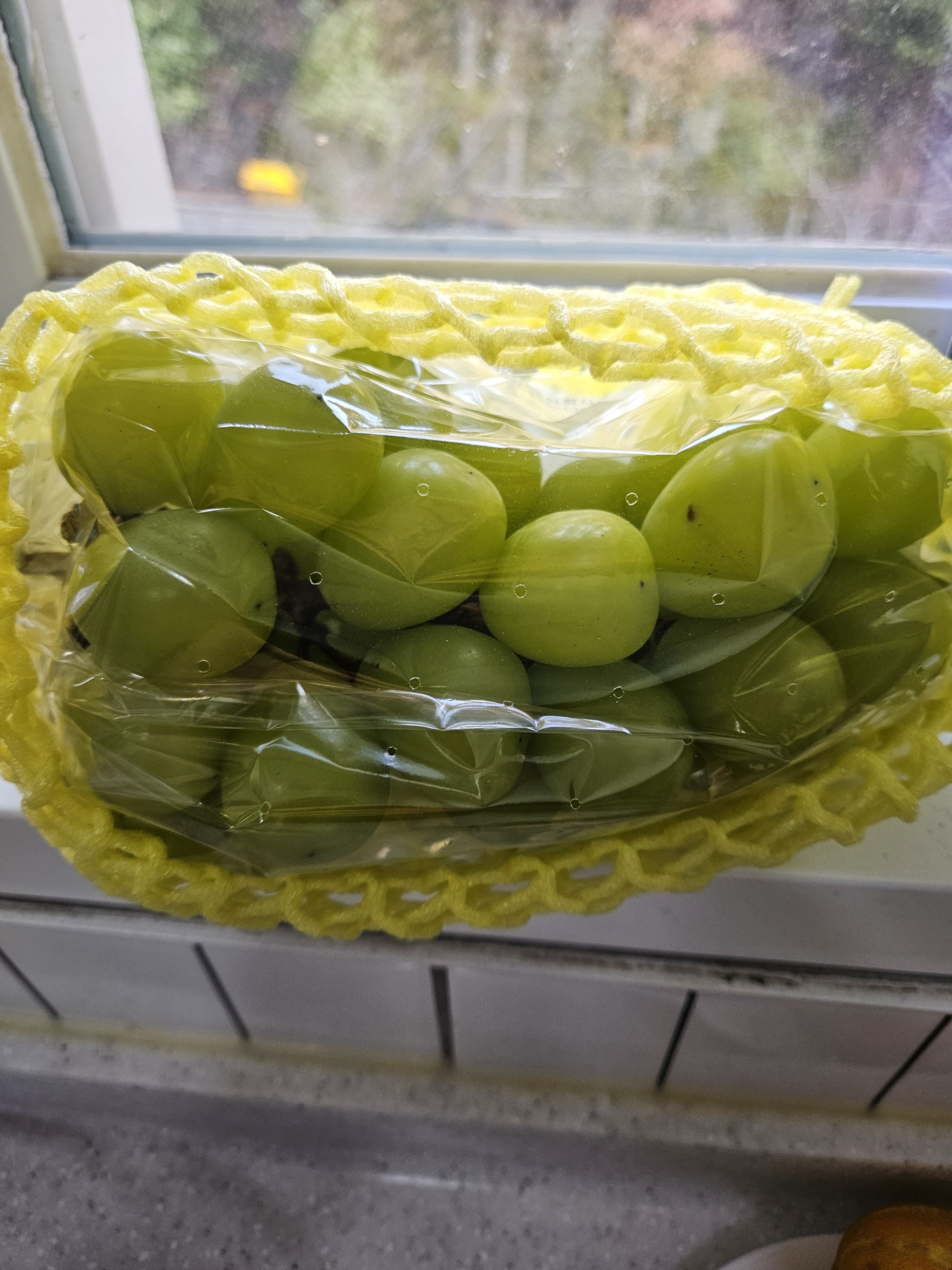 이미지없음