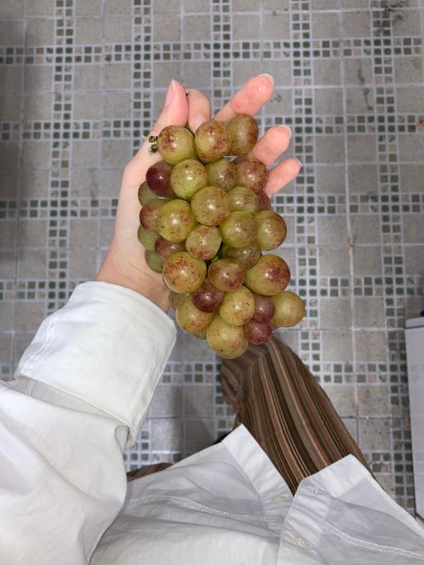 이미지없음