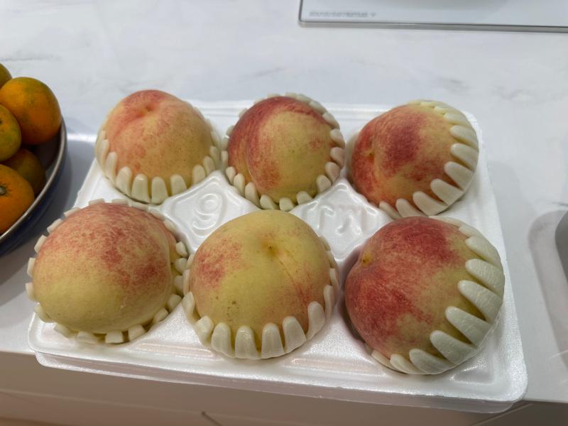 이미지없음