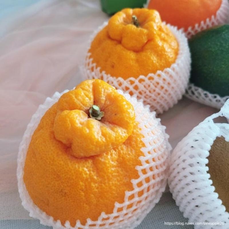 이미지없음