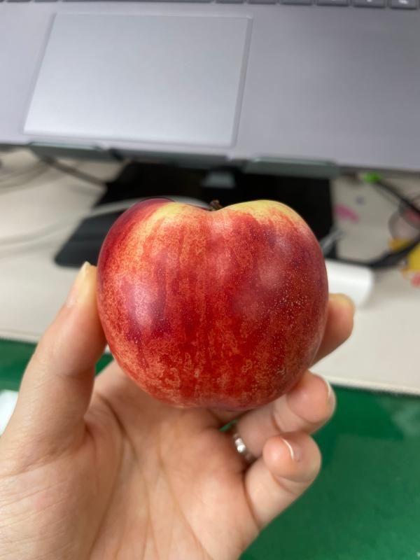이미지없음